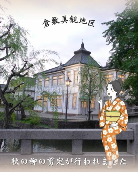 秋の柳の剪定が行われました🌱